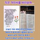 겨자씨의 믿음