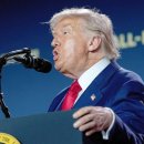 美상무 &#34;한국, 日 합의 보고 욕 나왔을 것&#34; ... 트럼프, 한일감정까지 협상 이용 이미지