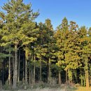 인더송당펜션 이미지