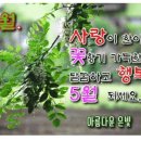 그까페