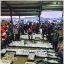 1월 13일(월) 목포는항구다 생선카페 판매생선[ 7석참조기, 민어, 생물 고등어, 아나고장어, 농어, 통치 / 부세 보리굴비 ] 이미지