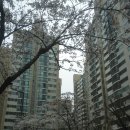 홍대명문공인중개사사무소 이미지