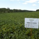 길림농장 이미지