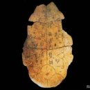 산시에서 발견된 상형문자는 약 6,000년 전으로 갑골문자은 가장 오래된 문자가 아닙니 이미지