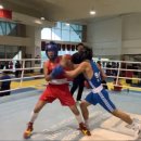 도봉구복싱협회체육관 | 김포 복싱장 추천🏆 생활체육부터 전국대회·프로 합격까지, 김포GO복싱 운양점