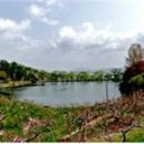 금수강산 이미지