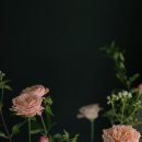 노원-공릉-3039 이미지