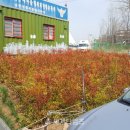 남촌도림동-42 이미지