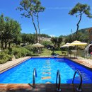 엉클캠프 이미지