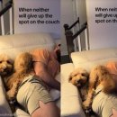 명당자리 이미지