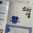 소마 프리미어 초급 교재 난이도(+부교재) 6개월 다닌 후기