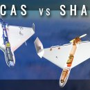 Why are Iranian drones so deadly? | The Economist 이미지