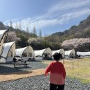 풀잎 작은도서관 | 아이랑 월아산 숲속의진주 우드랜드, 무료 유아숲체험🌳(예약방법)