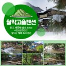 월악여울펜션 이미지