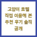 호텔 본 | 고양이 호텔 직접 이용해 본 추천 후기 솔직 공개