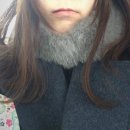 [대전사랑니발치/매복사랑니] 둔산동 마로니에치과 발치 후기
