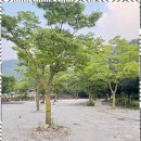 마이산가자캠핑장