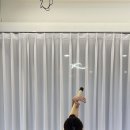 요가라인필라테스