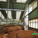 한국그린테크 이미지