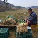 미순농장 이미지