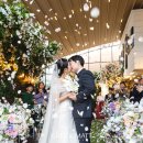 아모르하우스 | 역삼 아모르하우스 본식스냅 촬영후기, 하우스웨딩의 분위기를 그대로 담은 웨딩홀