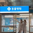 예인동물병원 이미지