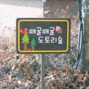 양실유치원 이미지