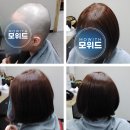 모위드