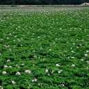 42번국도 이미지