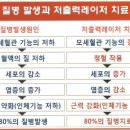청혈의료기 네이버블로그