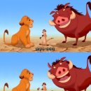 하쿠나마타타 이미지