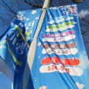 춘덕 | 첫 시작을 알리는 25회 부천 원미산 진달래축제 후기 25.3.29~30 (ft. 봄철 화재로 인하여 행사 축소 운영)