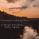 천화 이미지