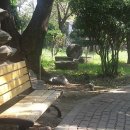 동아대학교박물관 Daum카페