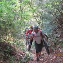 안영IC주유소 이미지