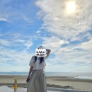 안면도 풀빌라 13월 | 안면도 풀빌라 태안 독채 펜션 13월 후기 주변 꿀팁정보 가볼만한곳 총정리