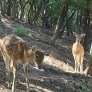 명동 선착장 이미지