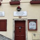 할슈타트 | 체스키, 고사우 호수, 할슈타트 차량 투어 후기 (프라하에서 할슈타트 가는법)