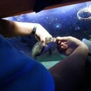 가자실내낚시터 이미지