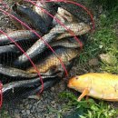 광탄낚시터 이미지