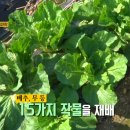 유남원조한방감자탕