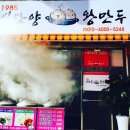 1985 신단양 왕만두 이미지