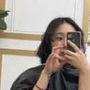 곱슬머리지니헤어