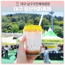 2025 대구 커피 축제 앞산 방문 생생한 현장 분위기와 커피 맛집 추천