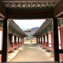 연복사탑중창비 | 연복사탑중창비 방문 후기: 역사 속으로 떠나는 시간 여행