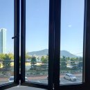 낙지볶음개미집 송도점 이미지