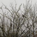 승준농장 이미지