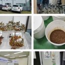 울릉군농업기술센터 농산물가공지원센터