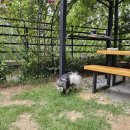 포포 데이케어 이미지