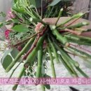 꽃다발 오래 보관하는 꿀팁_Flower Teacher토선생 이미지